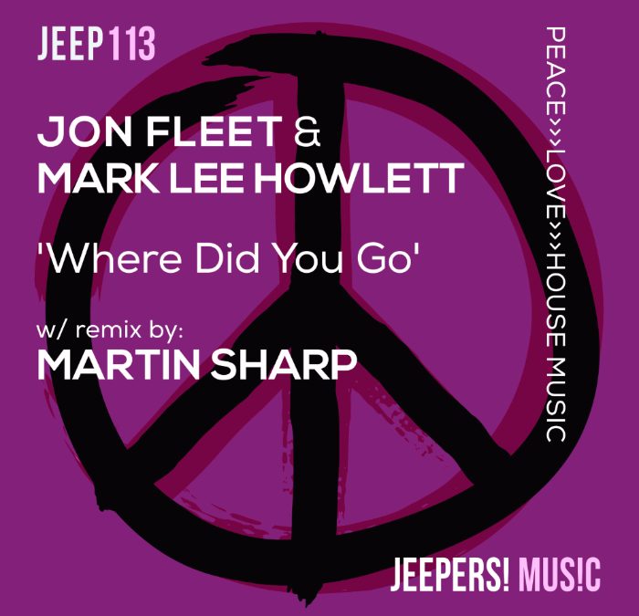 ‘Where Did You Go’ by JON FLEET & MARK LEE HOWLETT