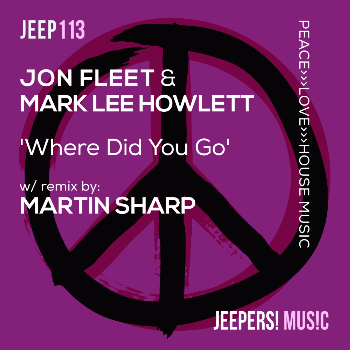 'Where Did You Go' by Jon Fleet & Mark Lee Howlett on Jeepers! Music